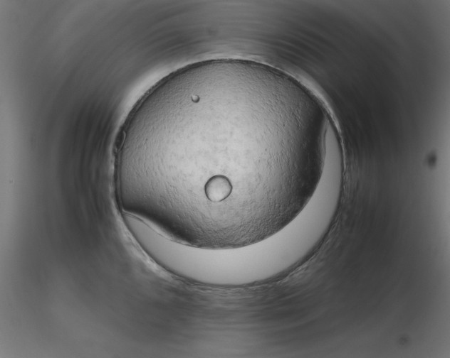 X0000116661096200912291632