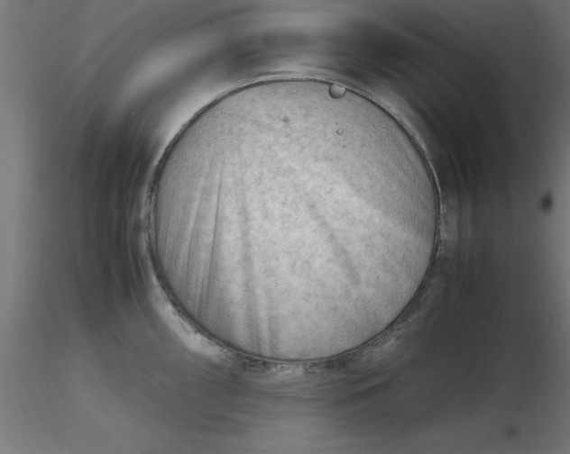 X0000116661098200912291632