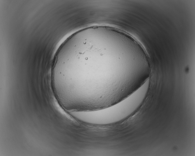 X0000116661100200912291632