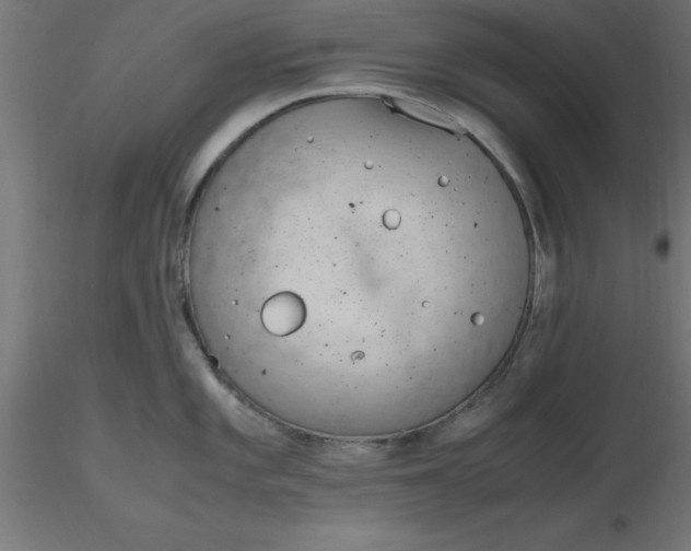 X0000116661101200912291632