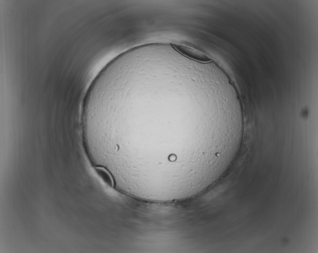 X0000116661103200912291632