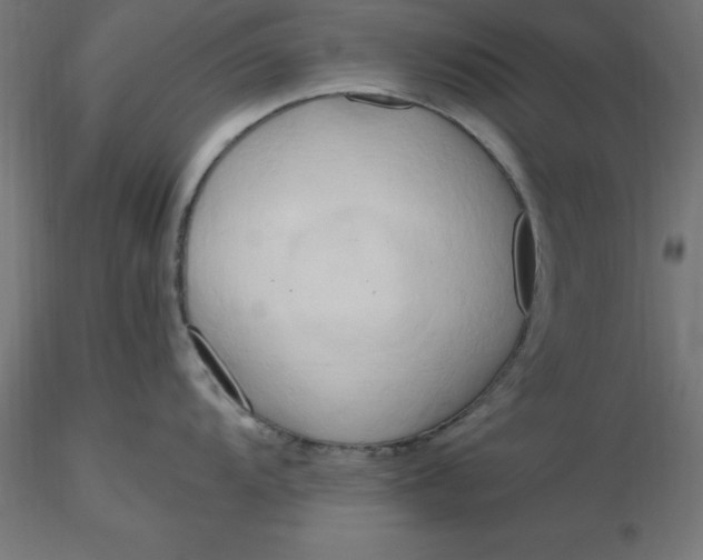 X0000116661104200912291632