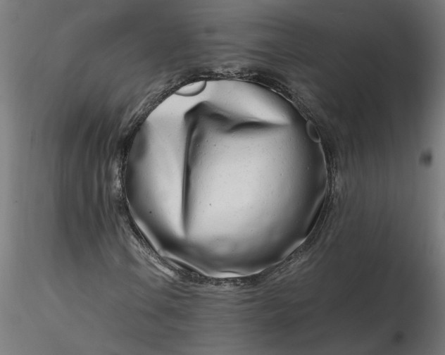 X0000116661106200912291631