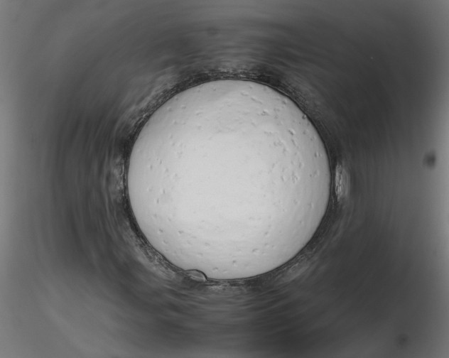 X0000116661107200912291631