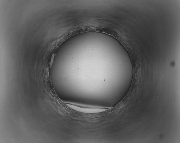 X0000116661109200912291631