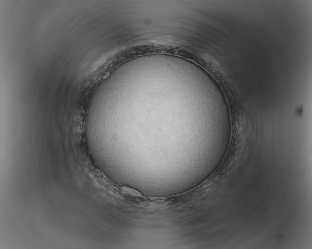 X0000116661110200912291631