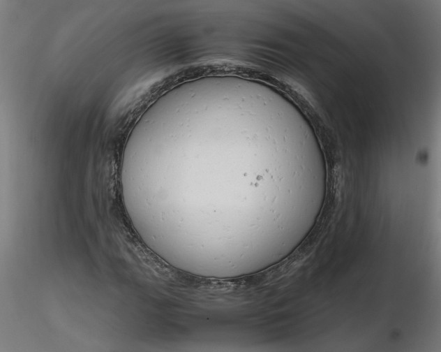 X0000116661111200912291631