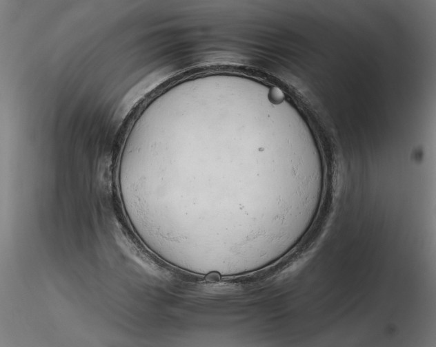 X0000116661113200912291631