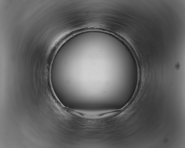 X0000116661115200912291631