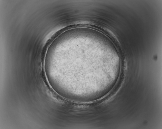 X0000116661117200912291631