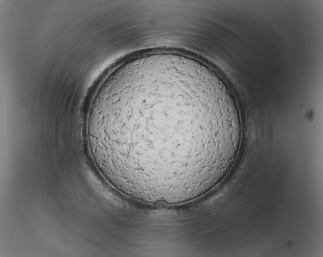 X0000116661118200912291631