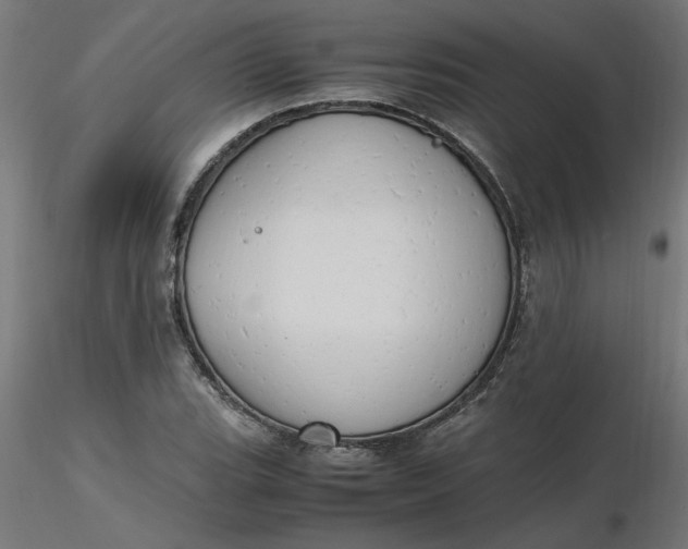 X0000116661119200912291632