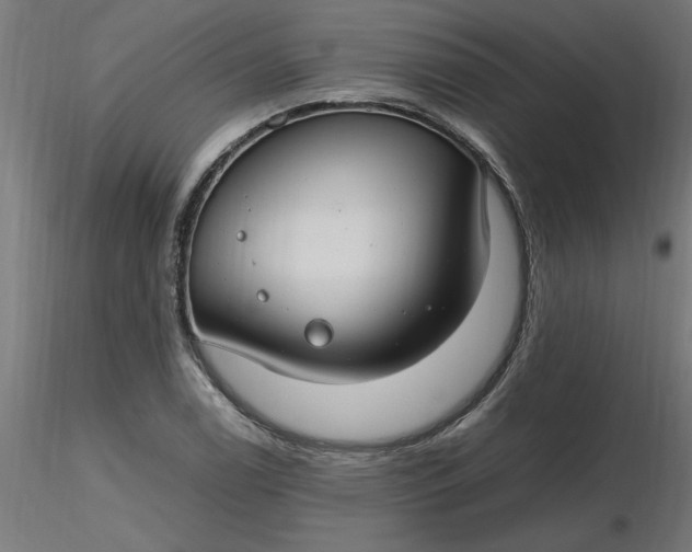 X0000116661122200912291632