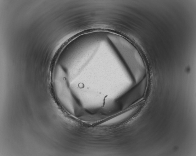 X0000116661125200912291632