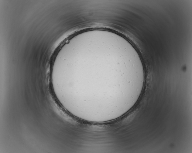 X0000116661126200912291632