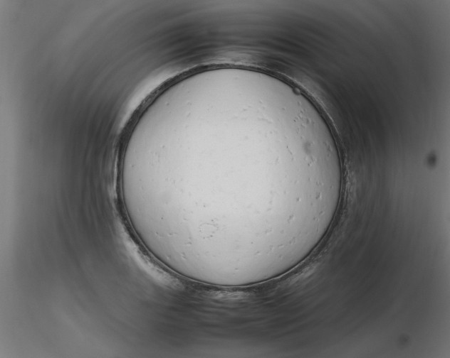 X0000116661131200912291632