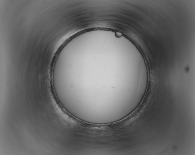 X0000116661133200912291632