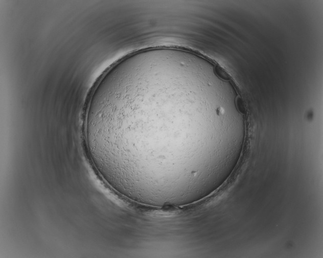 X0000116661134200912291632