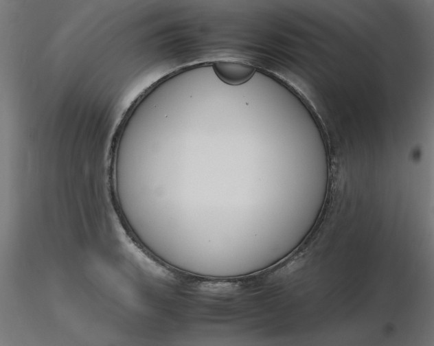 X0000116661135200912291632