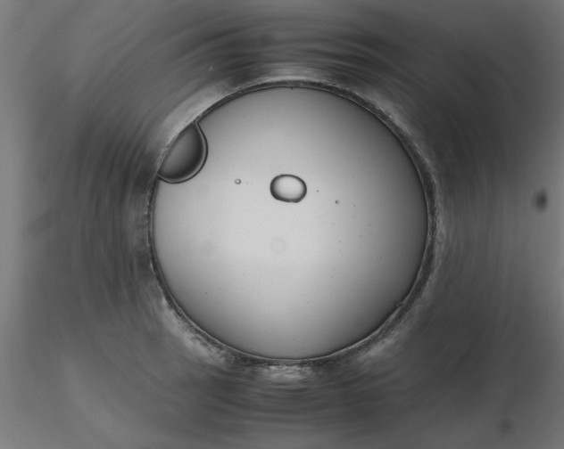 X0000116661137200912291632