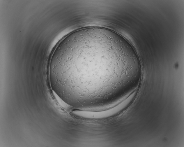 X0000116661138200912291632