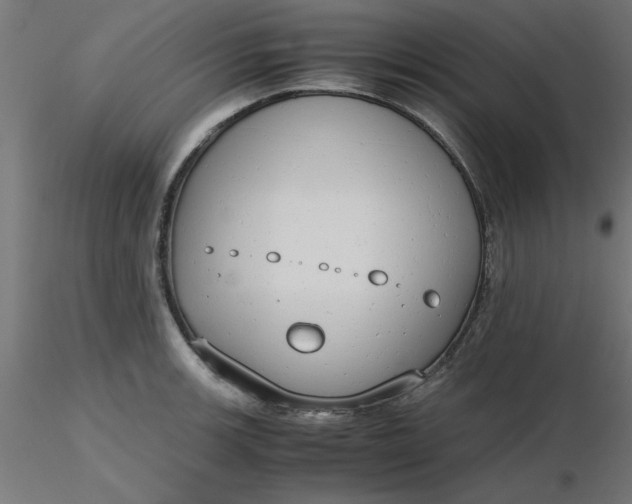 X0000116661139200912291632