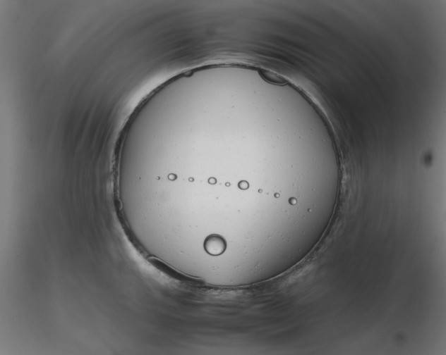 X0000116661143200912291632