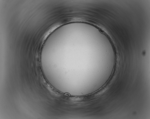 X0000116661145200912291632