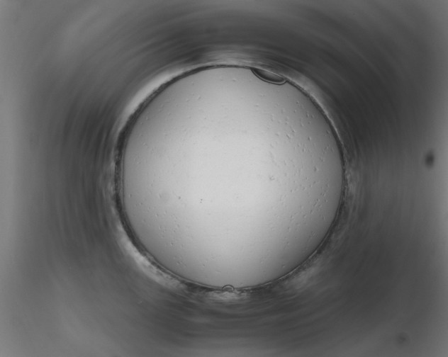 X0000116661147200912291632