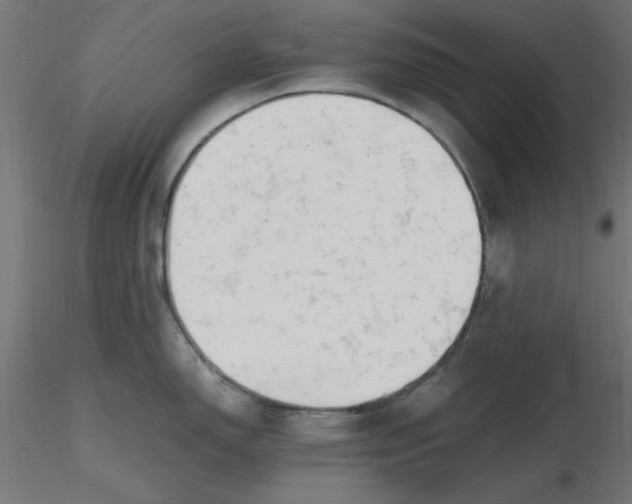 X0000116661150200912291632