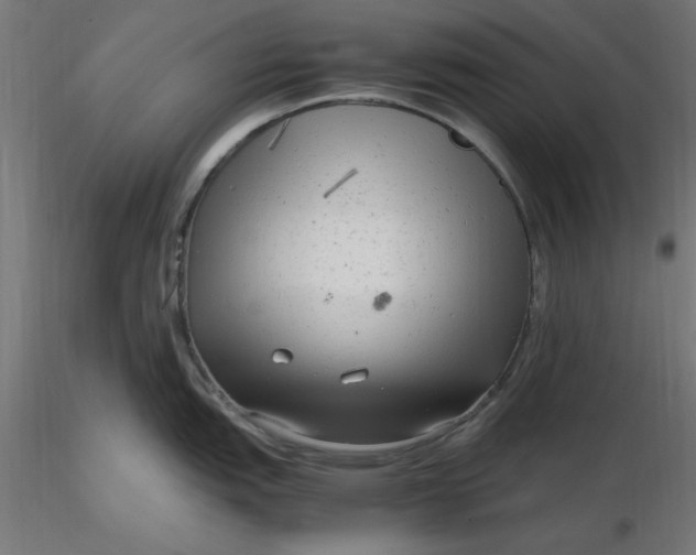 X0000116661151200912291632