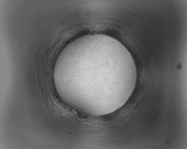 X0000116661153200912291631