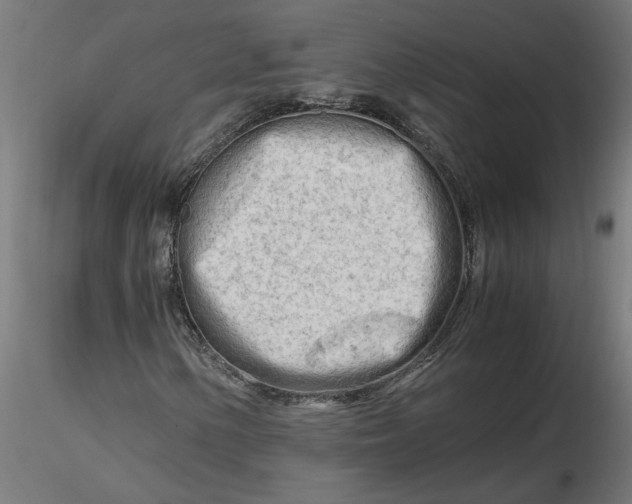 X0000116661154200912291631