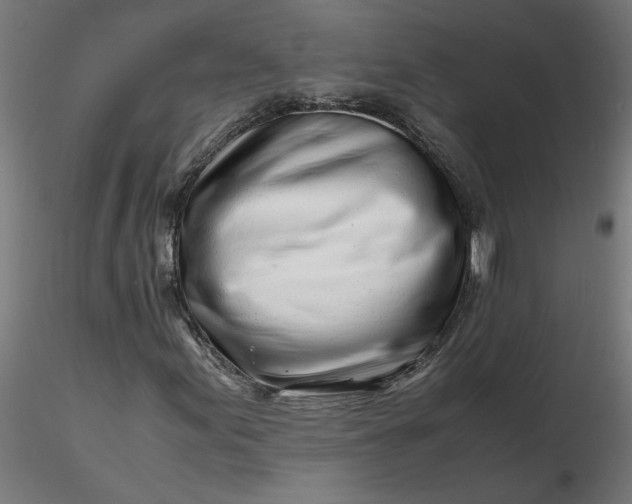 X0000116661155200912291631