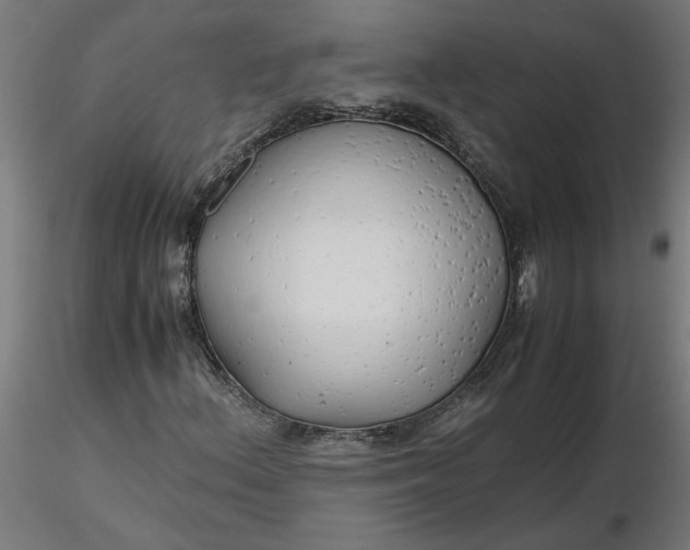 X0000116661156200912291631