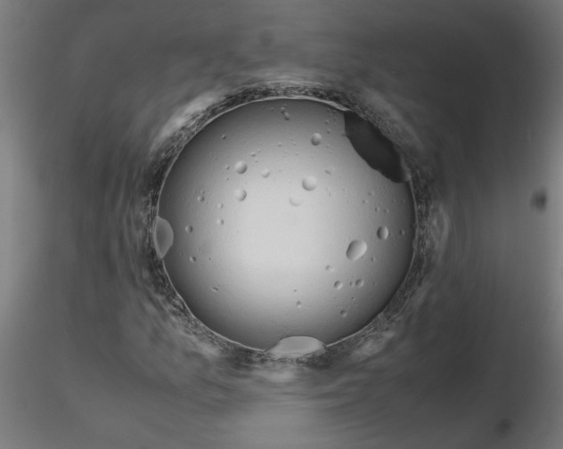 X0000116661157200912291631