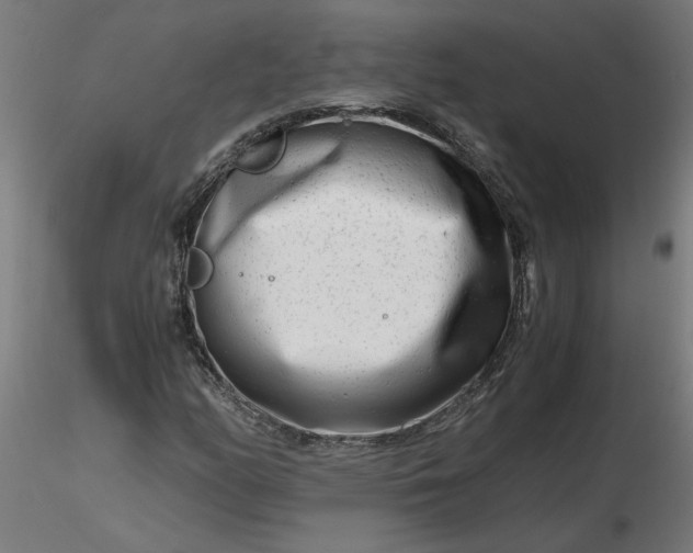 X0000116661158200912291631