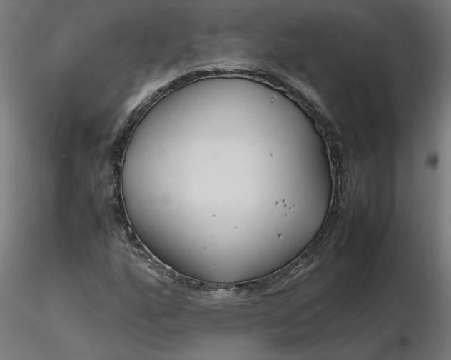 X0000116661160200912291631