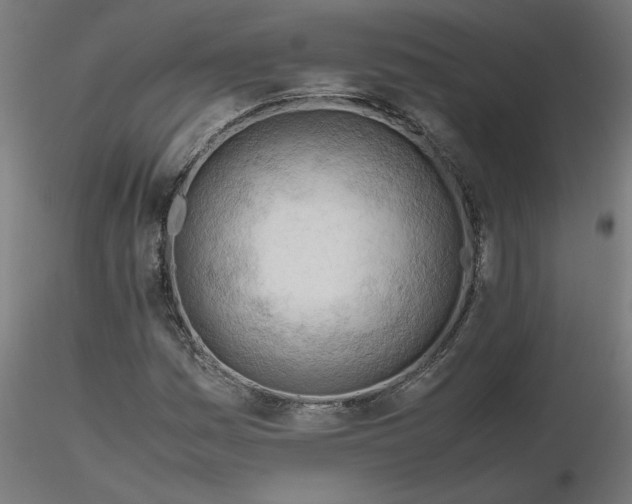 X0000116661161200912291631