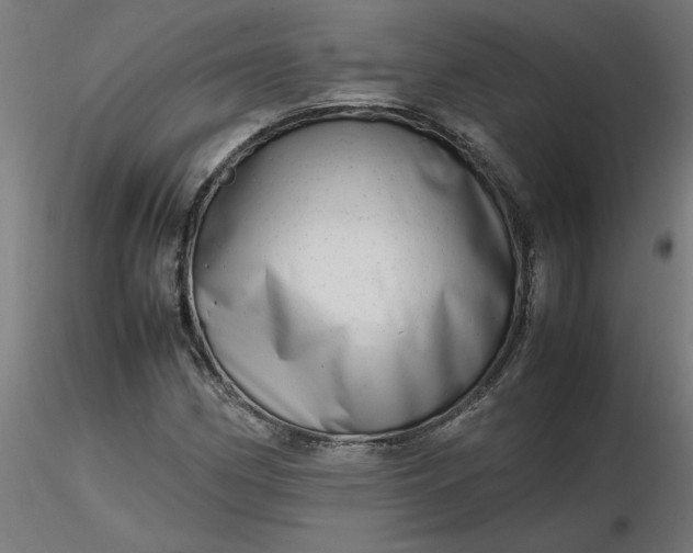 X0000116661162200912291631