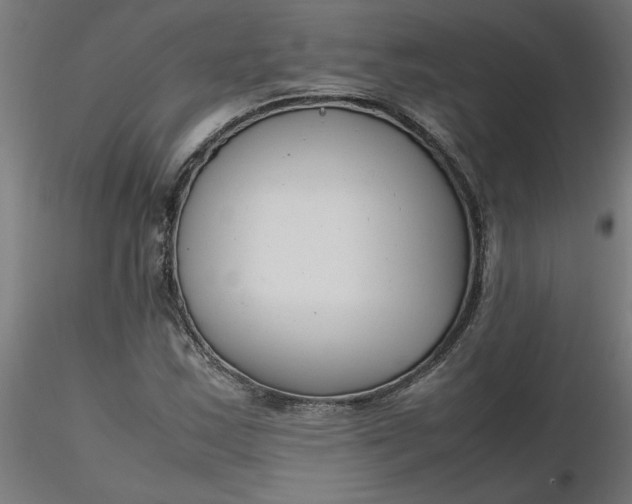 X0000116661163200912291631