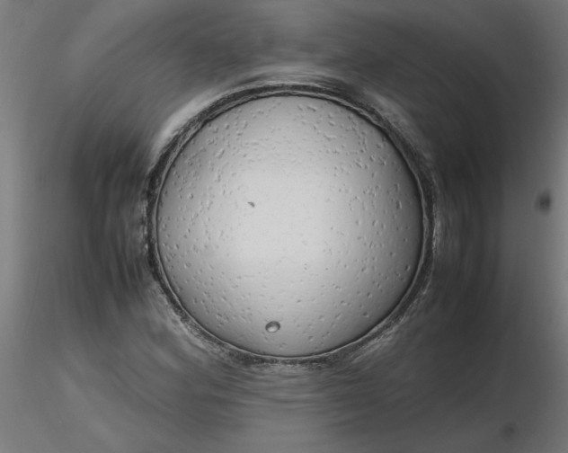 X0000116661164200912291631