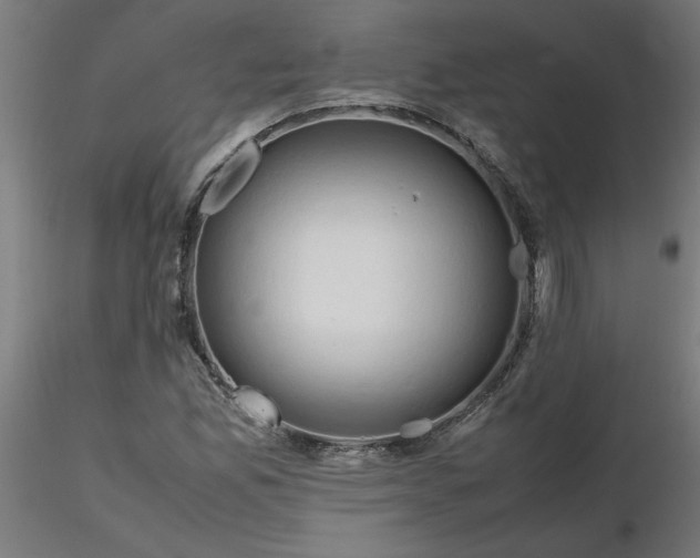 X0000116661165200912291631