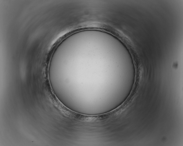 X0000116661166200912291631