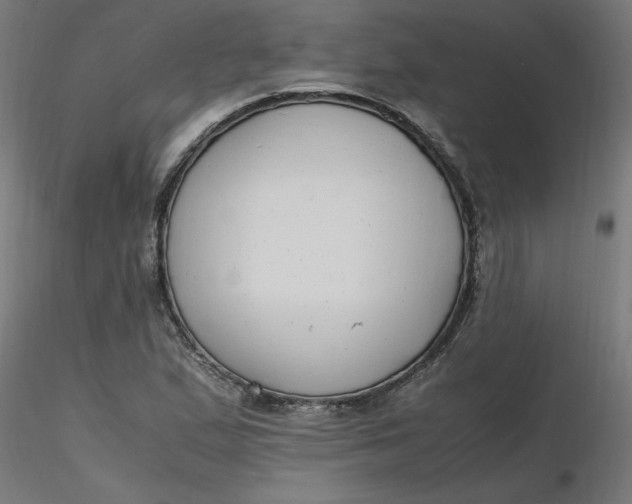 X0000116661167200912291631