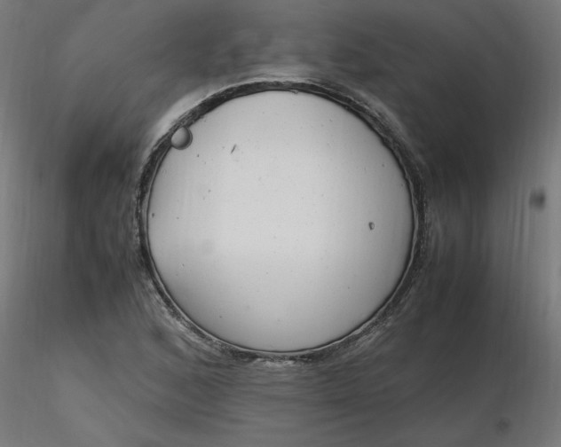 X0000116661168200912291631