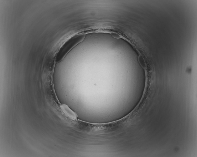 X0000116661169200912291631