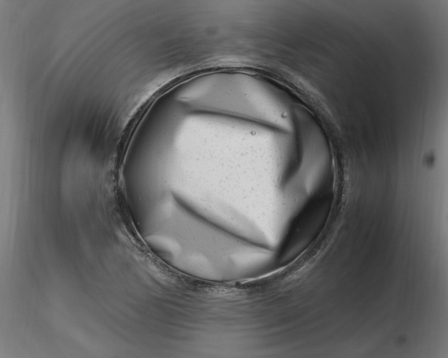 X0000116661170200912291631