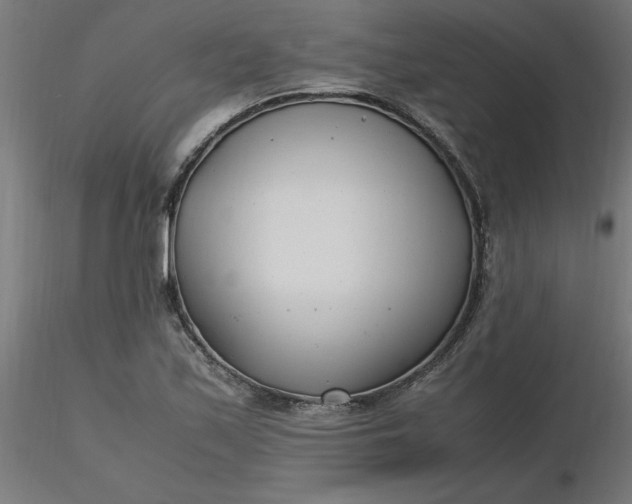 X0000116661171200912291631