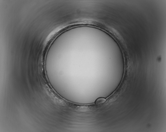 X0000116661172200912291631